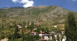 Adana Saimbeyli Evden Eve Nakliyat e